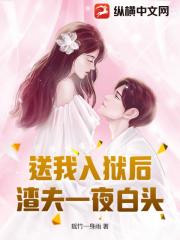送我入狱后，渣夫一夜白头