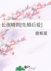 长夜晴朗[先婚后爱]