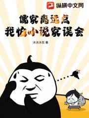 儒家离远点，我怕小说家误会