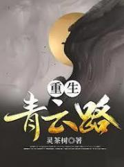 重生官场青云路