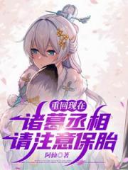 重回现在：诸葛丞相，请注意保胎