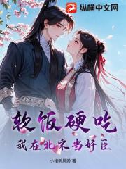 软饭硬吃，我在北宋当奸臣