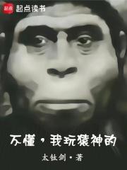 不懂，我玩猿神的