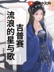 吉普赛：流浪的星与歌