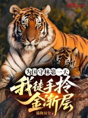 为国守林第一天，我徒手拎金渐层